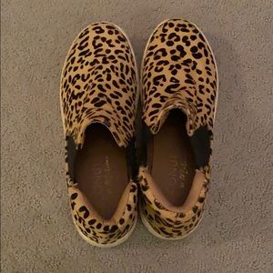 Cheetah Slides
